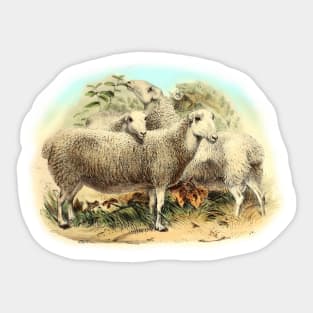 Sheep Cute Animal Illustration Sticker